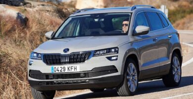 Descargar Manual SKODA KAROQ 2010 de Reparación y Servicio