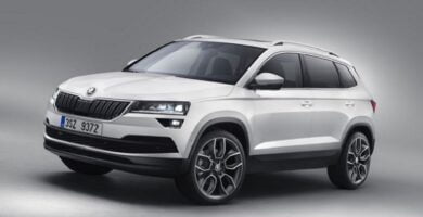 Descargar Manual SKODA KAROQ 2011 de Reparación y Servicio