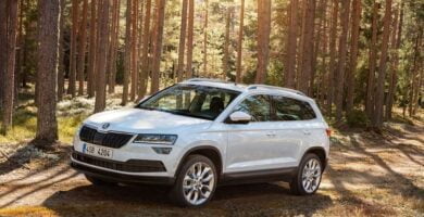 Descargar Catálogo de Partes SKODA KAROQ 2012 AutoPartes y Refacciones