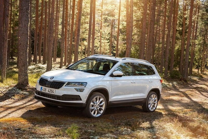 Descargar Manual SKODA KAROQ 2012 de Reparación y Servicio