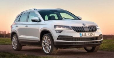 Descargar Manual SKODA KAROQ 2017 de Reparación y Servicio