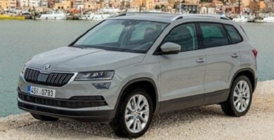 Descargar Catálogo de Partes SKODA KAROQ 2018 AutoPartes y Refacciones