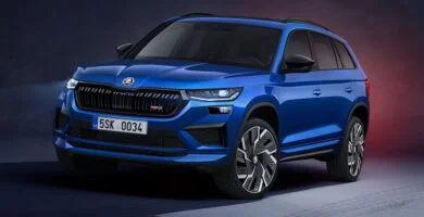 Descargar Manual SKODA KAROQ 2021 de Reparación y Servicio