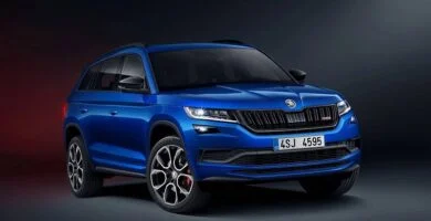 Descargar Manual SKODA KODIAQ 2019 de Reparación y Servicio