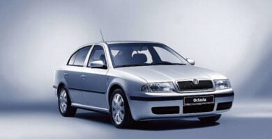 Descargar Catálogo de Partes SKODA OCTAVIA 2002 AutoPartes y Refacciones