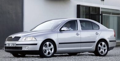 Descargar Catálogo de Partes SKODA OCTAVIA 2004 AutoPartes y Refacciones