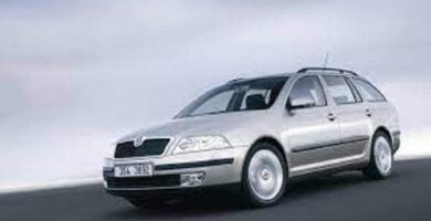 Descargar Catálogo de Partes SKODA OCTAVIA 2005 AutoPartes y Refacciones