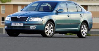 Descargar Catálogo de Partes SKODA OCTAVIA 2006 AutoPartes y Refacciones