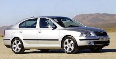 Descargar Manual SKODA OCTAVIA 2007 de Reparación y Servicio