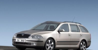 Descargar Manual SKODA OCTAVIA 2008 de Reparación y Servicio