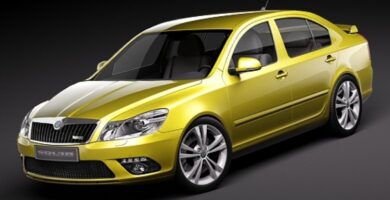 Descargar Manual SKODA OCTAVIA 2010 de Reparación y Servicio