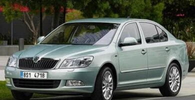 Descargar Catálogo de Partes SKODA OCTAVIA 2011 AutoPartes y Refacciones