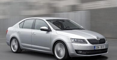 Descargar Catálogo de Partes SKODA OCTAVIA 2013 AutoPartes y Refacciones