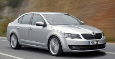 Descargar Manual SKODA OCTAVIA 2014 de Reparación y Servicio