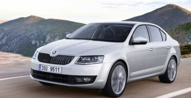 Descargar Catálogo de Partes SKODA OCTAVIA 2016 AutoPartes y Refacciones