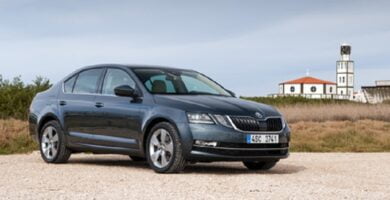 Descargar Manual SKODA OCTAVIA 2017 de Reparación y Servicio