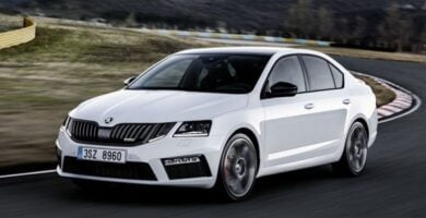 Descargar Manual SKODA OCTAVIA 2018 de Reparación y Servicio