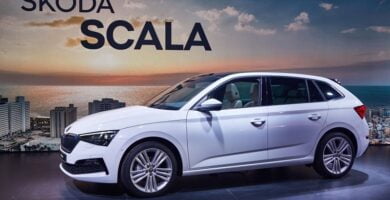 Descargar Catálogo de Partes SKODA SCALA 2018 AutoPartes y Refacciones