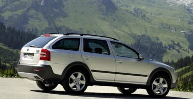 Descargar Manual SKODA SCOUT 2007 de Reparación y Servicio