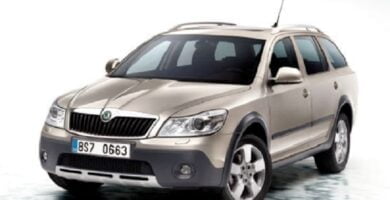 Descargar Manual SKODA SCOUT 2009 de Reparación y Servicio