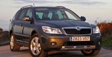 Descargar Manual SKODA SCOUT 2011 de Reparación y Servicio