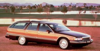 Descargar Catalogo de Partes BUICK COACHBUILDER 1994 AutoPartes y Refacciones