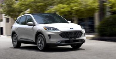 Descargar Catalogo de Partes FORD ESCAPE 2022 AutoPartes y Refacciones