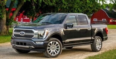 Descargar Catalogo de Partes FORD F-150 2021 AutoPartes y Refacciones