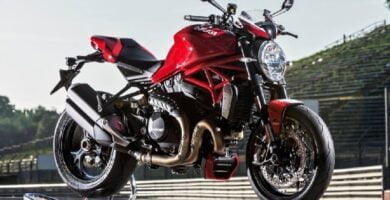 Descargar Manual Moto DUCATI MONSTER 1200 R 2018 de Usuario PDF GRATIS