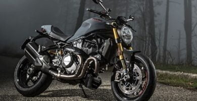 Descargar Manual Moto DUCATI MONSTER 1200 S 2017 de Usuario PDF GRATIS