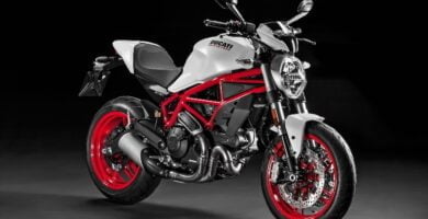 Descargar Manual Moto DUCATI MONSTER 797 2018 de Usuario PDF GRATIS