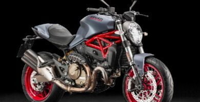 Descargar Manual Moto DUCATI MONSTER 821 2017 de Usuario PDF GRATIS