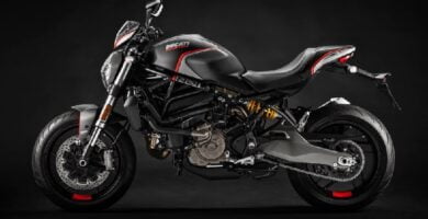 Descargar Manual Moto DUCATI MONSTER 821 2019 de Usuario PDF GRATIS