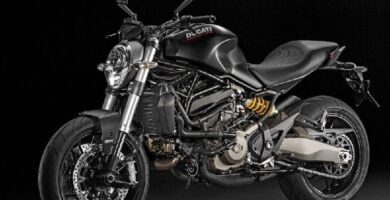 Descargar Manual Moto DUCATI MONSTER 821 DARK 2016 de Usuario PDF GRATIS