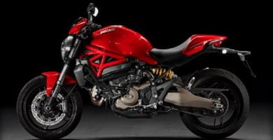 Descargar Manual Moto DUCATI MONSTER 821 STRIPE 2016 de Usuario PDF GRATIS