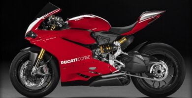 Descargar Manual Moto DUCATI PANIGALE R 2016 de Usuario PDF GRATIS