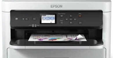 Driver Impresora EPSON WF-C5290