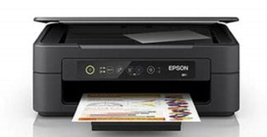 Driver impresora Epson XP-2101