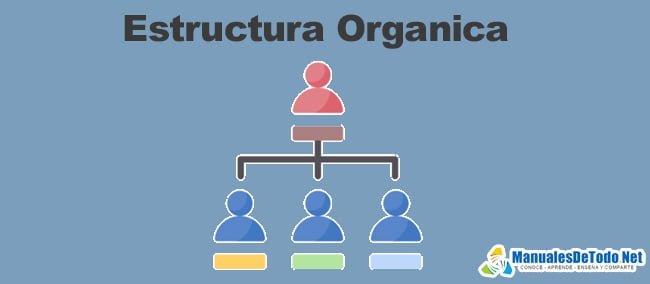 Estructura Organica - Manual de Organización de Empresas