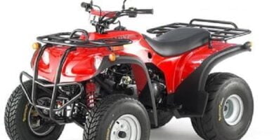 Descargar Manual de Moto ADLY 300U 223A DESCARGAR GRATIS