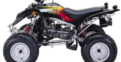 Descargar Manual de Moto ADLY 50 RS 231A DESCARGAR GRATIS