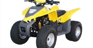 Descargar Manual de Moto ADLY 100V 186A DESCARGAR GRATIS