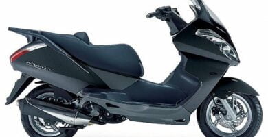 Descargar Manual Moto APRILIA Atlantic 125 2005 Reparación y Servicio