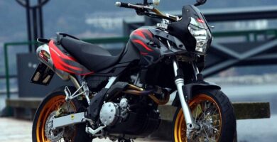 Descargar Manual Moto APRILIA Pegaso 650 2005 Reparación y Servicio