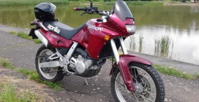 Descargar Manual Moto APRILIA Pegaso 655 1995 Reparación y Servicio