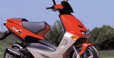 Descargar Manual Moto APRILIA SR 50 2005 Reparación y Servicio