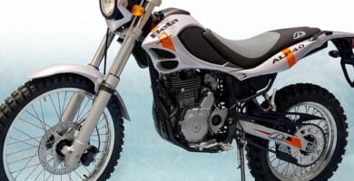 Descargar Manual Moto BETA ALP 4t Reparación y Servicio