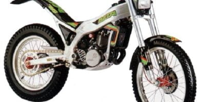 Descargar Manual Moto BETA Alpine 240 1990 Reparación y Servicio