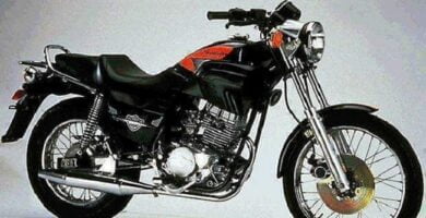 Descargar Manual Moto CAGIVA Roadster 521 1994 Reparación y Servicio