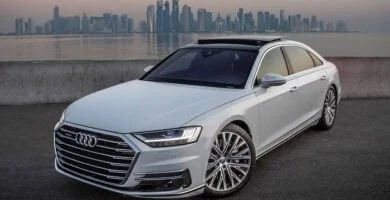 Diagramas Eléctricos Audi A8 2019 - Bandas de Tiempo y Distribución